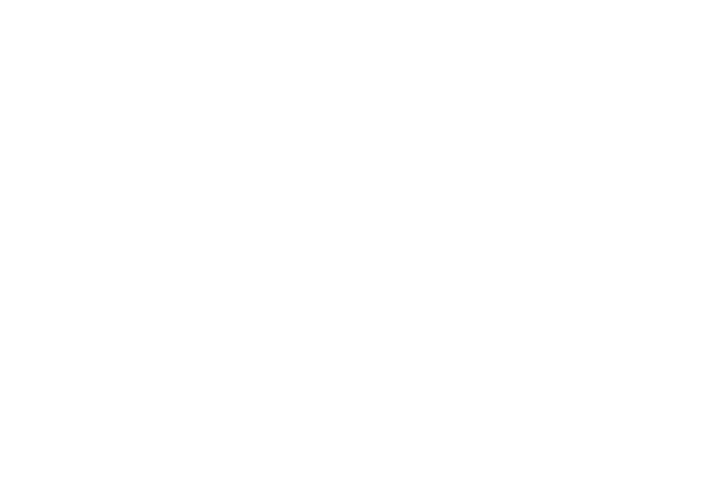 Logo pagopa